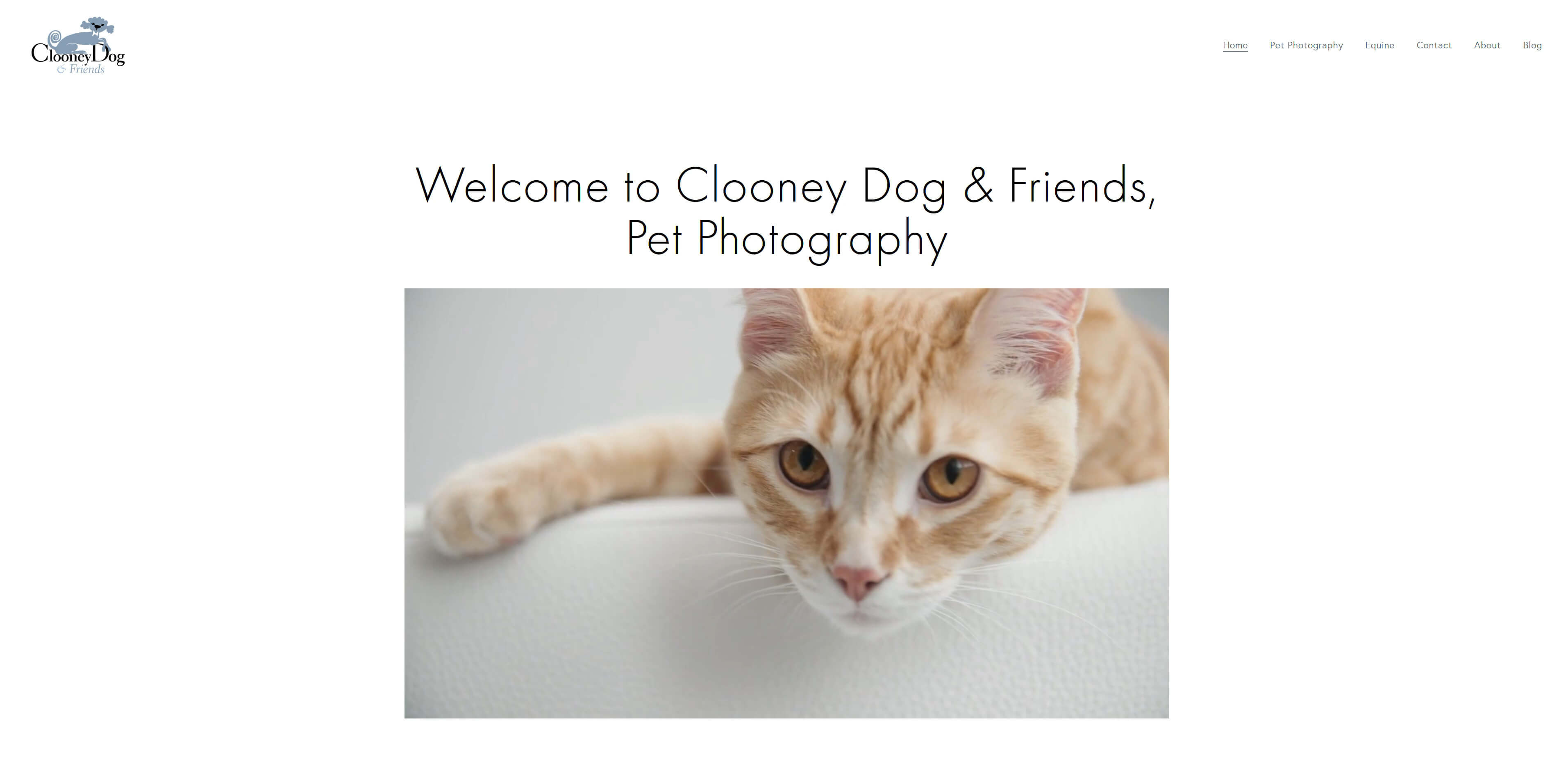 [Screenshot of website displaying landing video by Joybird Studios, hyperlink goes to current website]