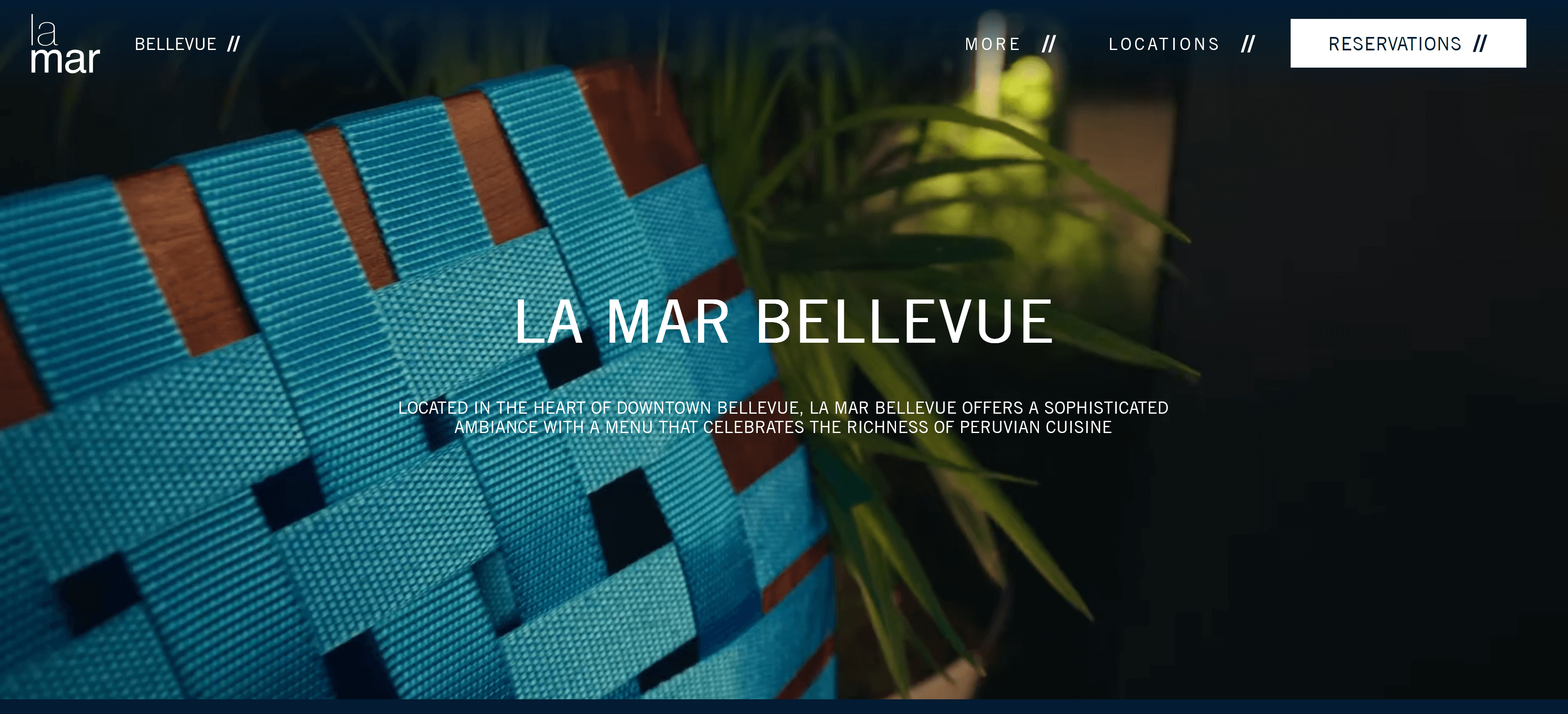 [Screenshot of website displaying landing video by Joybird Studios, hyperlink goes to current website]